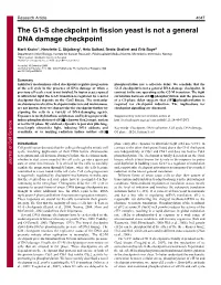 The G1-S Checkpoint in Fission Yeast Is Not a General DNA Damage Checkpoint