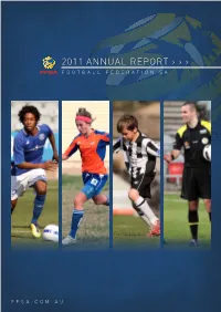 2011 Annual Report › › › Football Federation Sa