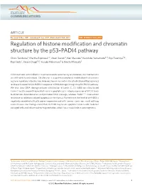 Regulation of Histone Modification and Chromatin Structure by the P53–PADI4 Pathway
