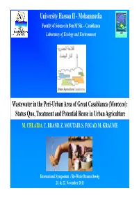 Microsoft Powerpoint