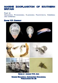 PHYLUM ARTHROPODA: Subphylum Crustacea: Class Maxillipoda