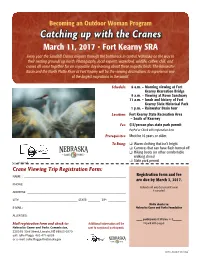 Catching up with the Cranes