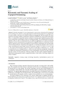Kinematic and Dynamic Scaling of Copepod Swimming