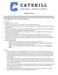 Sheep Fact Sheet