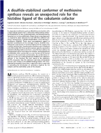 A Disulfide-Stabilized Conformer of Methionine Synthase Reveals an Unexpected Role for the Histidine Ligand of the Cobalamin Cofactor