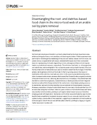 And Detritus-Based Food Chain in the Micro-Food Web of an Arable Soil by Plant Removal