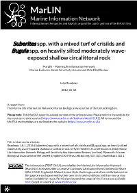 Download PDF Version