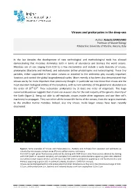 Viruses and Prokaryotes in the Deep-Sea