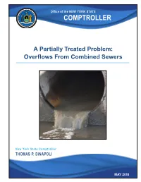 A Partially Treated Problem: Overflows from Combined Sewers