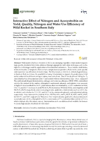 Interactive Effect of Nitrogen and Azoxystrobin on Yield, Quality, Nitrogen and Water Use Efficiency of Wild Rocket in Southern
