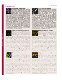 In This Issue