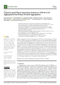 Liquid–Liquid Phase Separation Enhances TDP-43 LCD Aggregation but Delays Seeded Aggregation