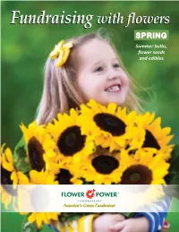 Spring Catalog