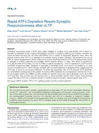 Rapid ATF4 Depletion Resets Synaptic Responsiveness After Cltp