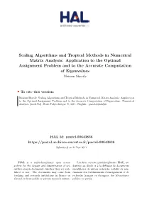 Scaling Algorithms and Tropical Methods in Numerical Matrix Analysis