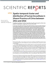 Spatio-Temporal Cluster and Distribution of Human Brucellosis In