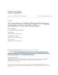 A Comprehensive Wetland Program for Fringing Salt Marshes in the Ory K River, Maine Pamela A
