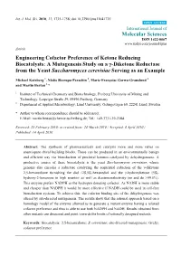 Engineering Cofactor Preference of Ketone Reducing Biocatalysts: A