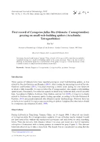 First Record of Ceriagrion Fallax Ris (Odonata: Coenagrionidae) Preying on Small Web-Building Spiders (Arachnida: Tetragnathidae)