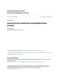 Quantum Phase Transitions in Disordered Boson Systems