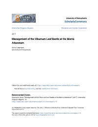 Management of the Viburnum Leaf Beetle at the Morris Arboretum