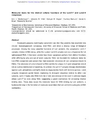 Molecular Basis for the Distinct Cellular Functions of the Lsm1-7 and Lsm2-8 Complexes