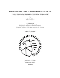 Phosphodiesterase 1 (Pde1) at the Crossroads of Calcium And
