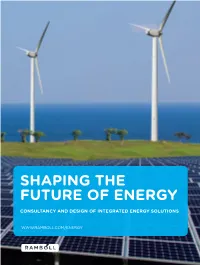 Shaping the Future of Energy