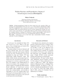 Thallus Structure and Reproductive Organs of Nemalionopsis Tortuosa (Rhodophyta)