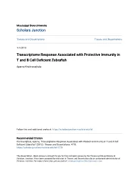 Transcriptome Response Associated with Protective Immunity in T and B Cell Deficient Ebrz Afish