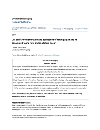 The Distribution and Abundance of Rafting Algae and Its Associated Fauna Now and in a Future Ocean