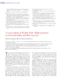A Reassessment of Meadow Pipit Anthus Pratensis Records from India, and Their Rejection