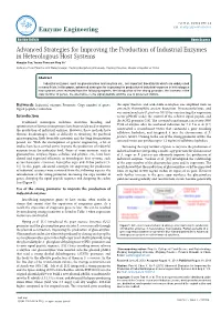 Advanced Strategies for Improving the Production of Industrial Enzymes In