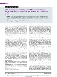 CRKL As a Lung Cancer Oncogene and Mediator Of