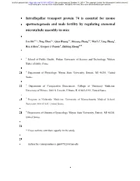 Intraflagellar Transport Protein 74 Is Essential for Mouse