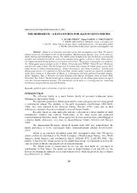 The Herbarium – a Data Source for Allium Genus Species