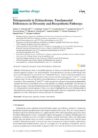 Fundamental Differences in Diversity and Biosynthetic Pathways