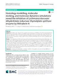 Homology Modelling, Molecular Docking, And