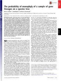 The Probability of Monophyly of a Sample of Gene Lineages on a Species Tree