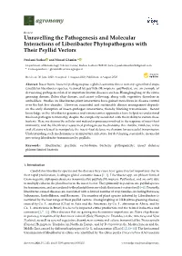 Unravelling the Pathogenesis and Molecular Interactions of Liberibacter Phytopathogens with Their Psyllid Vectors