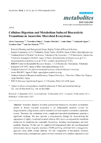 Cellulose Digestion and Metabolism Induced Biocatalytic Transitions in Anaerobic Microbial Ecosystems