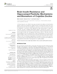 Brain Insulin Resistance and Hippocampal Plasticity: Mechanisms and Biomarkers of Cognitive Decline