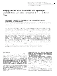 Imaging Elevated Brain Arachidonic Acid Signaling in Unanesthetized Serotonin Transporter (5-HTT)-Deficient Mice