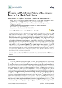 Diversity and Distribution Patterns of Endolichenic Fungi in Jeju Island, South Korea