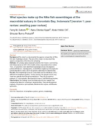 What Species Make up the Nike Fish Assemblages at the Macrotidal Estuary in Gorontalo Bay, Indonesia? [Version 1; Peer Review: Awaiting Peer Review] Femy M