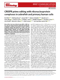 CRISPR Prime Editing with Ribonucleoprotein Complexes in Zebrafish and Primary Human Cells