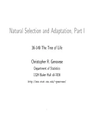 Natural Selection and Adaptation, Part I