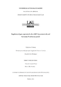 Regulation of Gene Expression by the Camp-Crp System in the Soil Bacterium Pseudomonas Putida