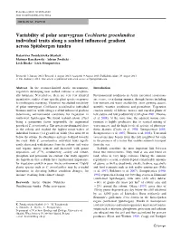 Variability of Polar Scurvygrass Cochlearia Groenlandica Individual Traits Along a Seabird Inﬂuenced Gradient Across Spitsbergen Tundra