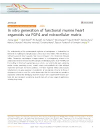 In Vitro Generation of Functional Murine Heart Organoids Via FGF4